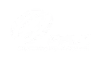 PAX Technology logo in white transparent